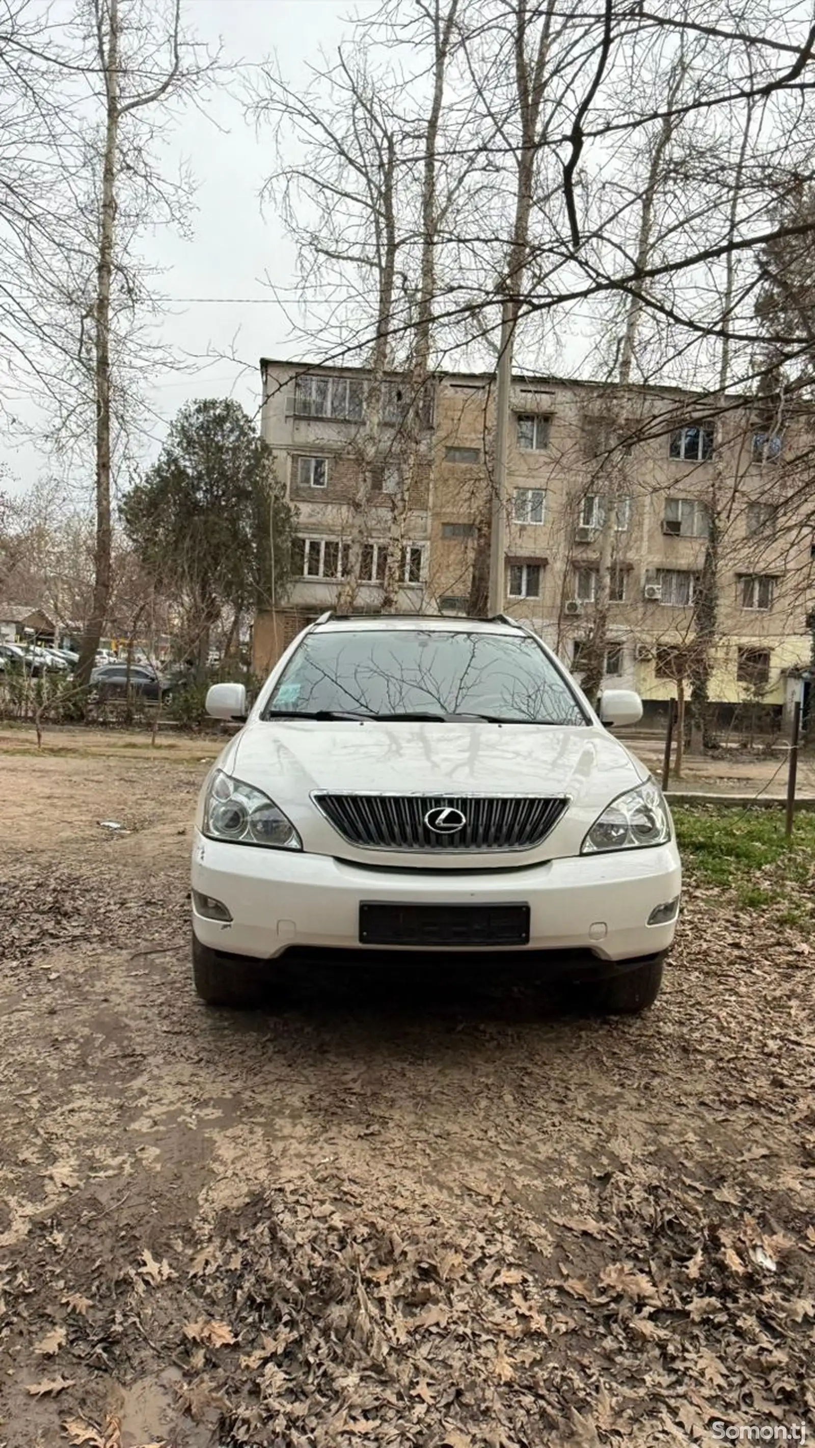 Lexus RX series, 2007-1