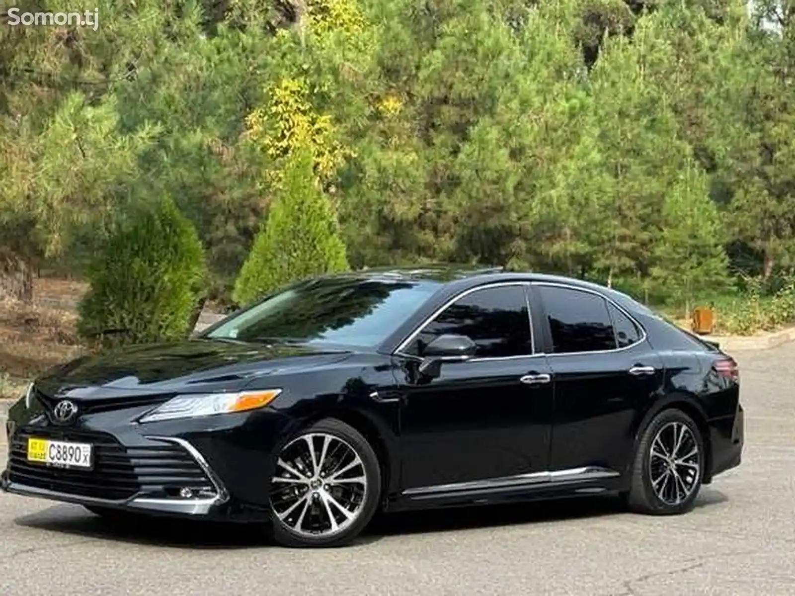 Toyota Camry, 2019-1