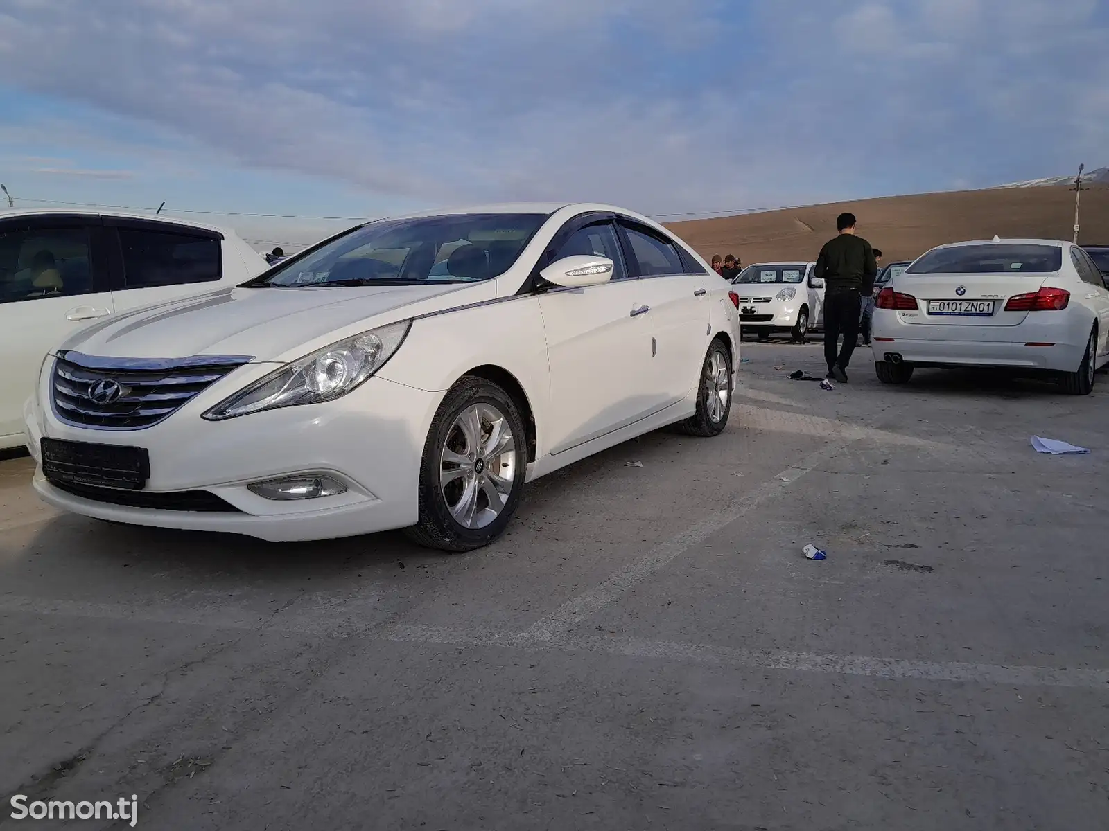 Hyundai Sonata, 2010-1