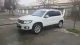 Volkswagen Tiguan, 2013-4