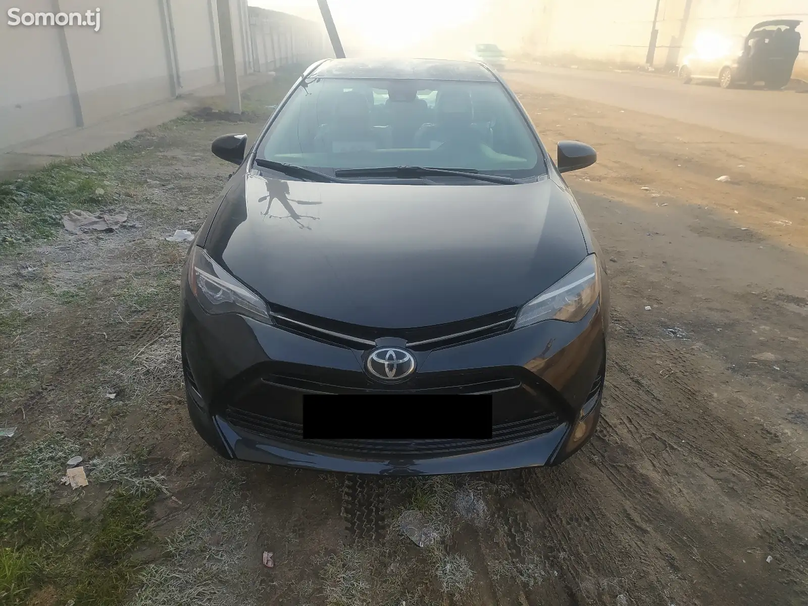 Toyota Corolla, 2019-1