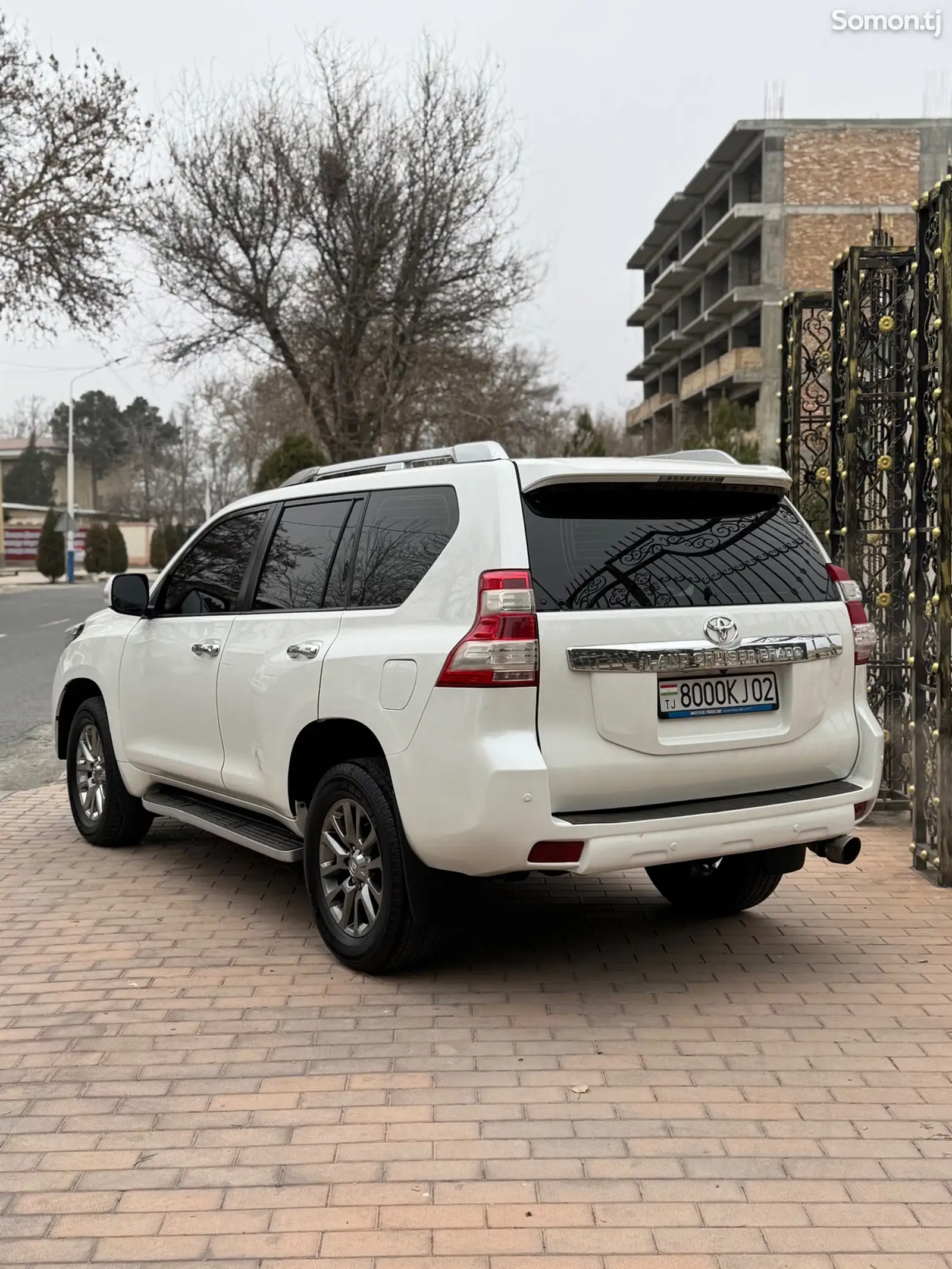 Toyota Land Cruiser Prado, 2010-1