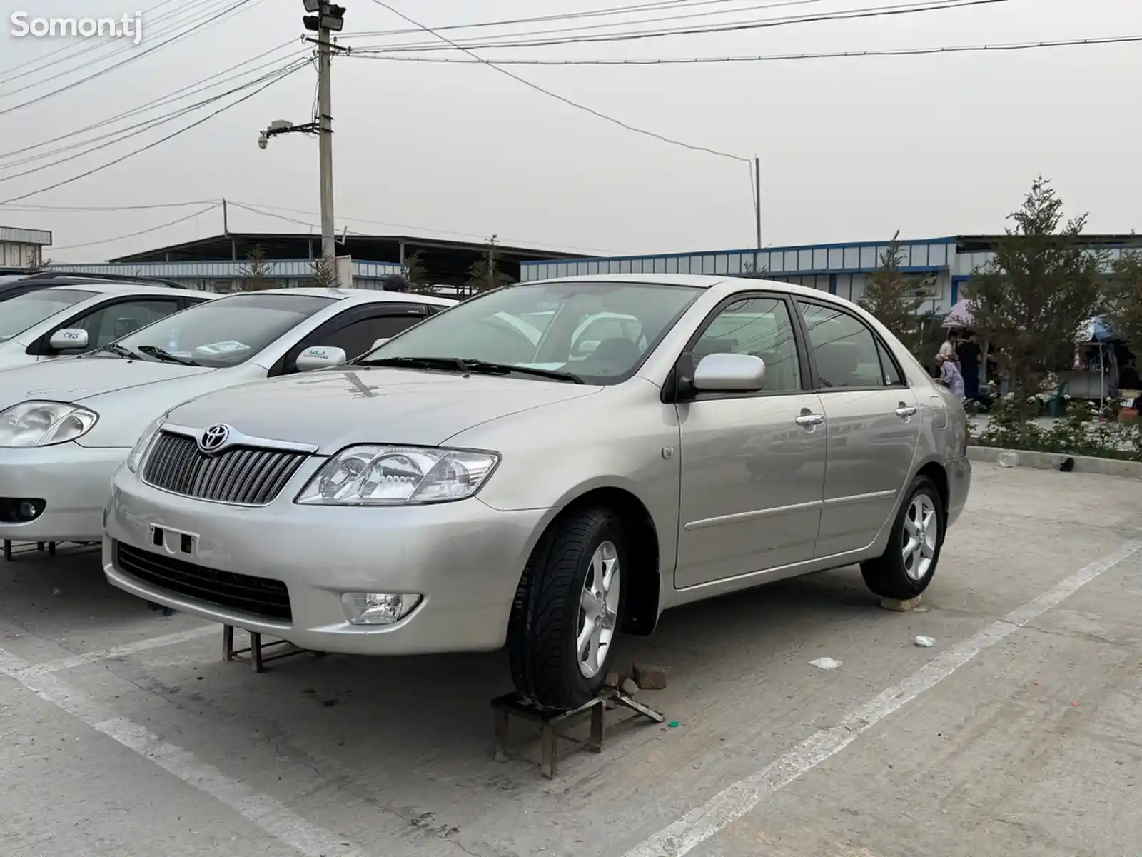 Toyota Corolla, 2006-3