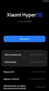 Xiaomi 12T Pro 8/256 GB Black-13