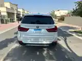 BMW X5, 2017-4