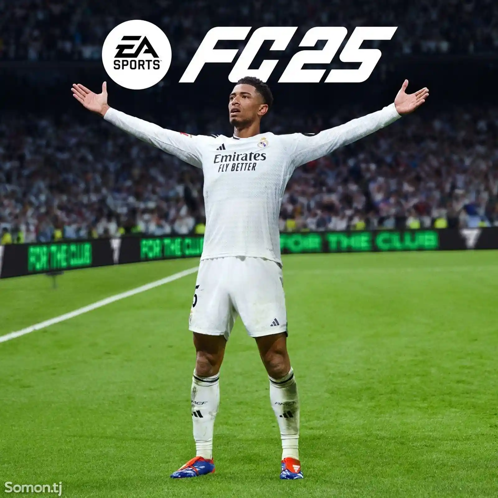 Игра FIFA 25-1