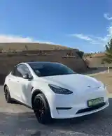 Tesla Model Y, 2021-2