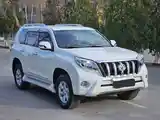 Toyota Land Cruiser Prado, 2011-6