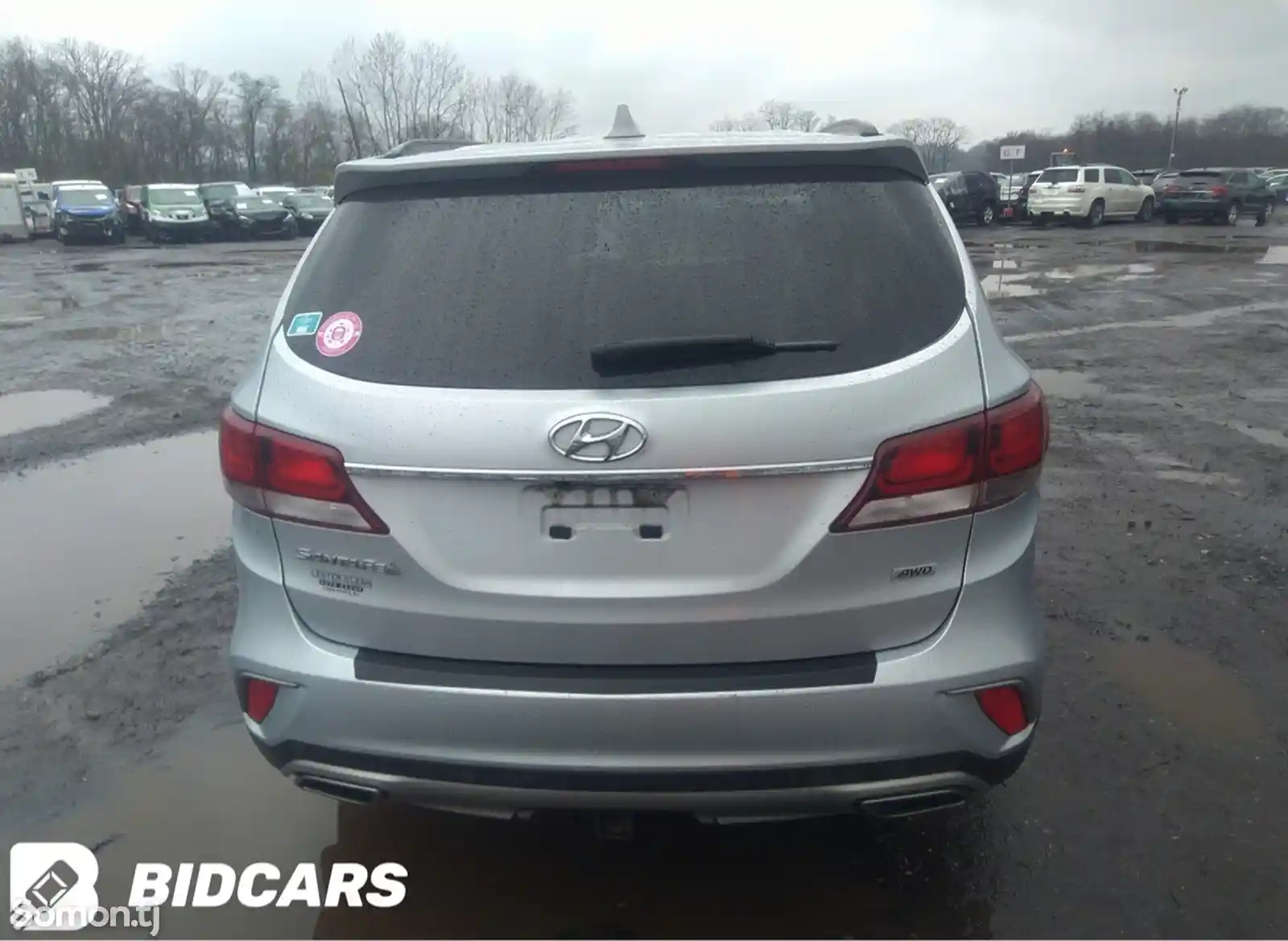 Hyundai Santa Fe, 2018-15