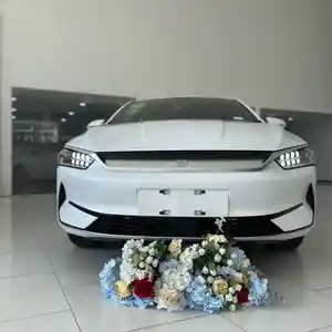 BYD Qin Plus, 2024