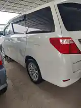 Toyota Alphard, 2009-4