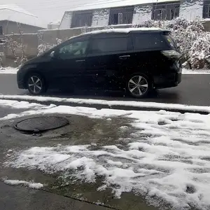 Toyota Wish, 2015