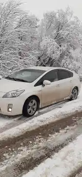 Toyota Prius, 2010-5