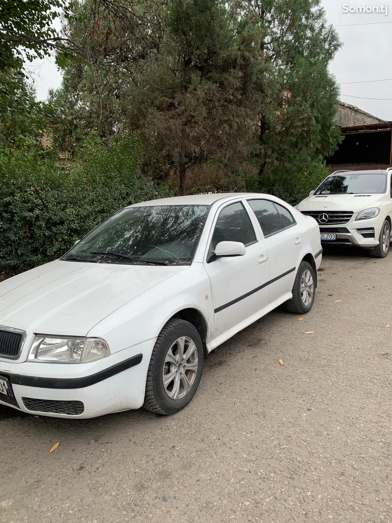 Skoda Octavia, 2008-3