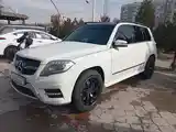 Mercedes-Benz GLK class, 2010-3