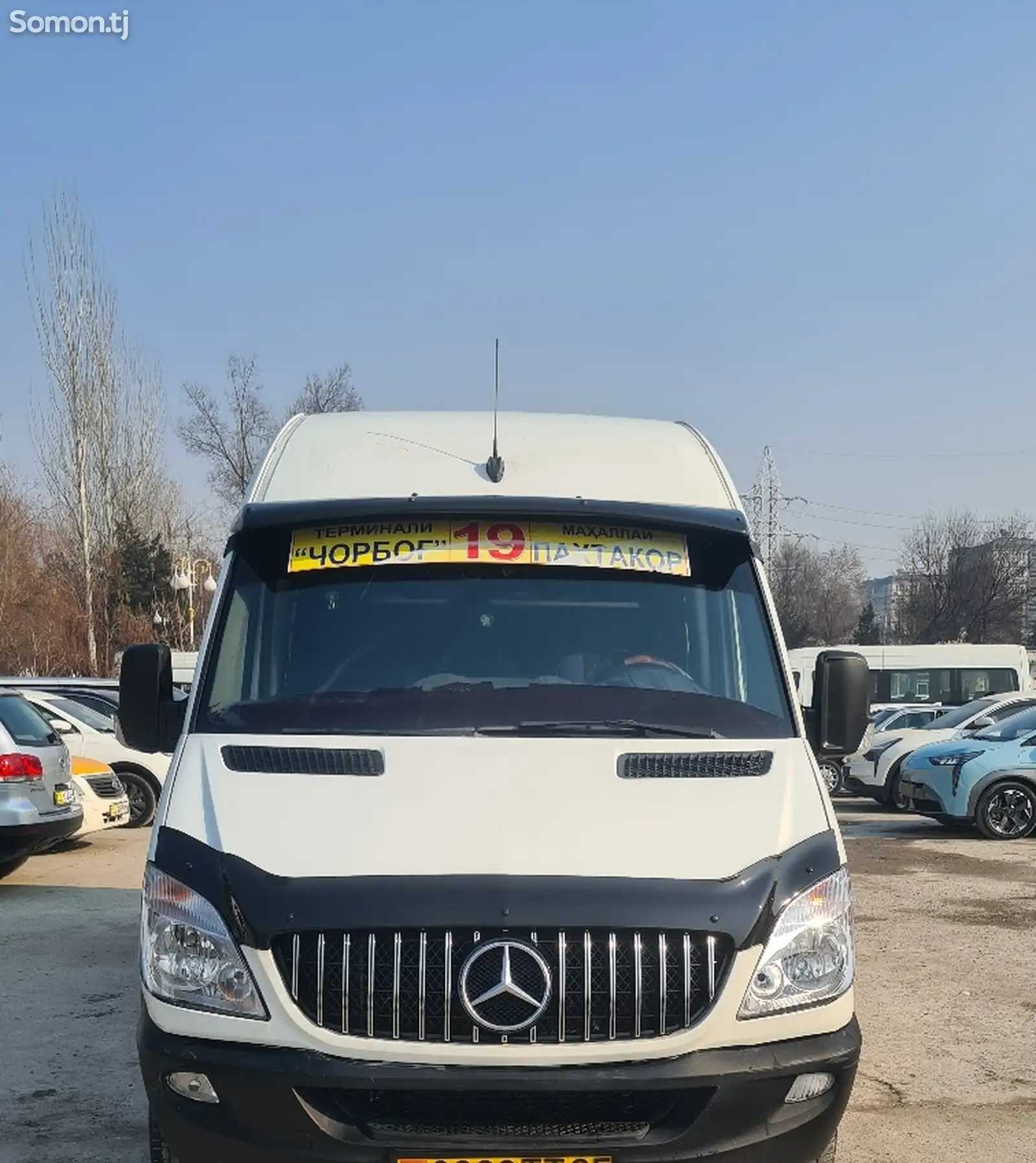 Пассажирский Mercedes-Benz Sprinter, 2007-1