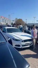 Ford Mustang, 2018-3