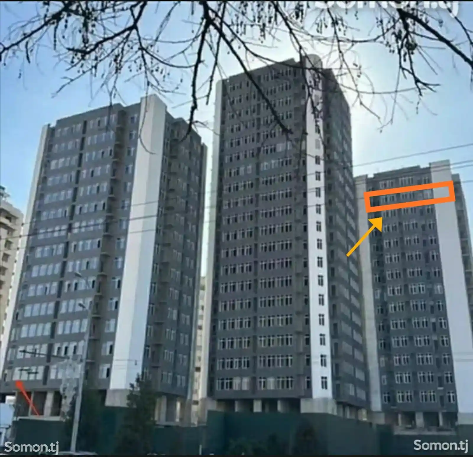 2-комн. квартира, 15 этаж, 56 м², Цирк, Фирдавси-4