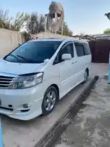 Toyota Alphard, 2008-6