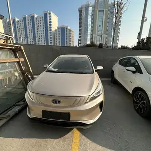 Geely Geometry, 2019