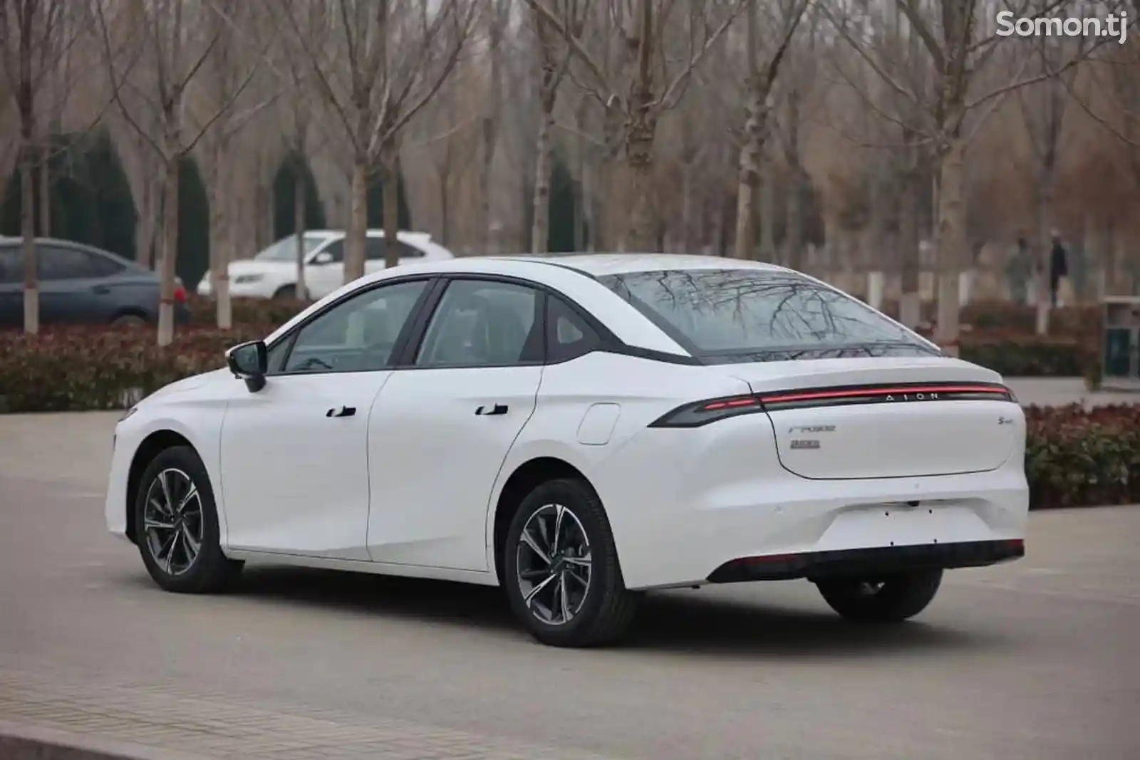 BYD, 2024-4