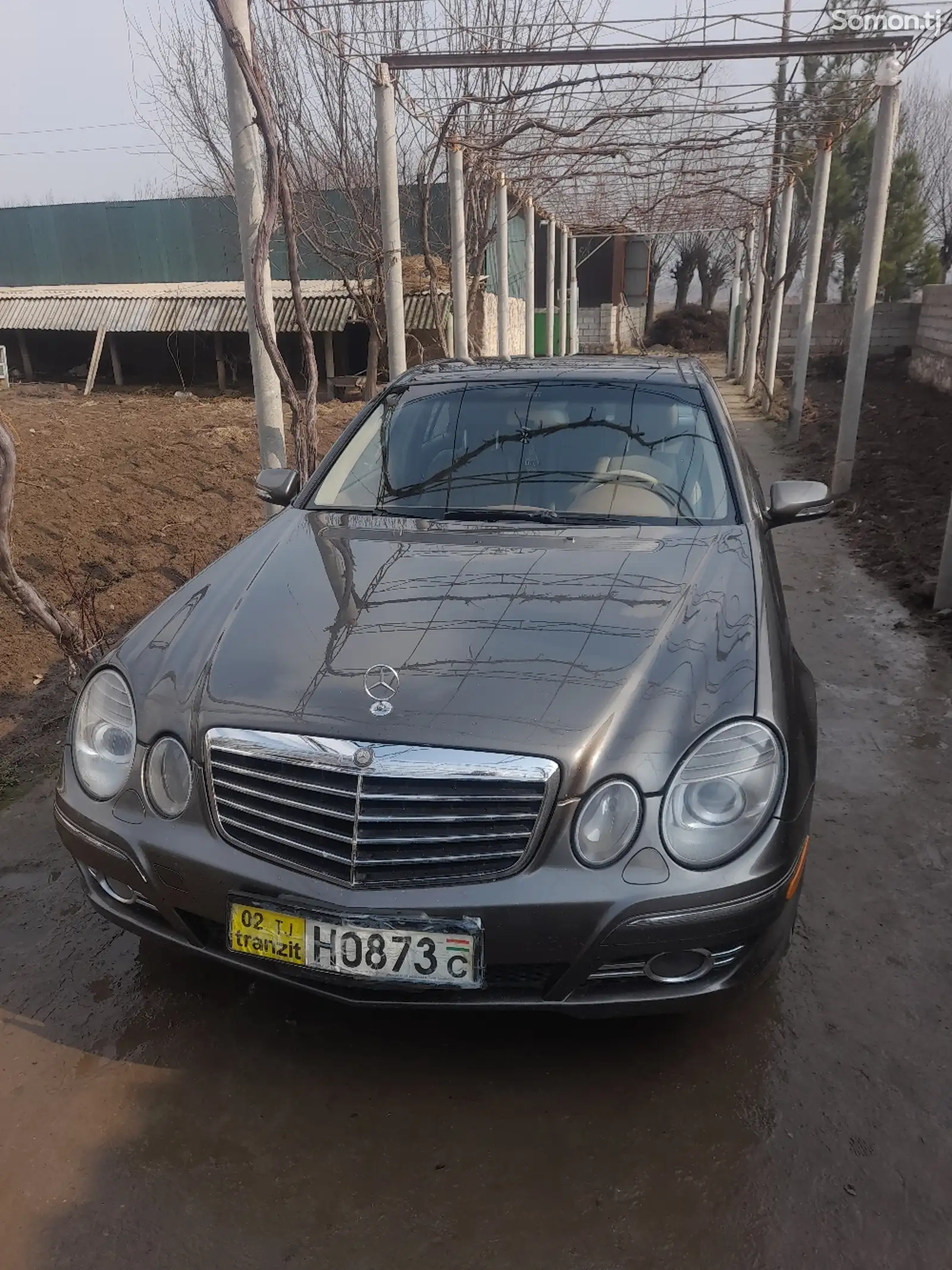 Mercedes-Benz E class, 2008-1