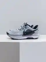 Кроссовки Nike pegasus Trail ATC-2