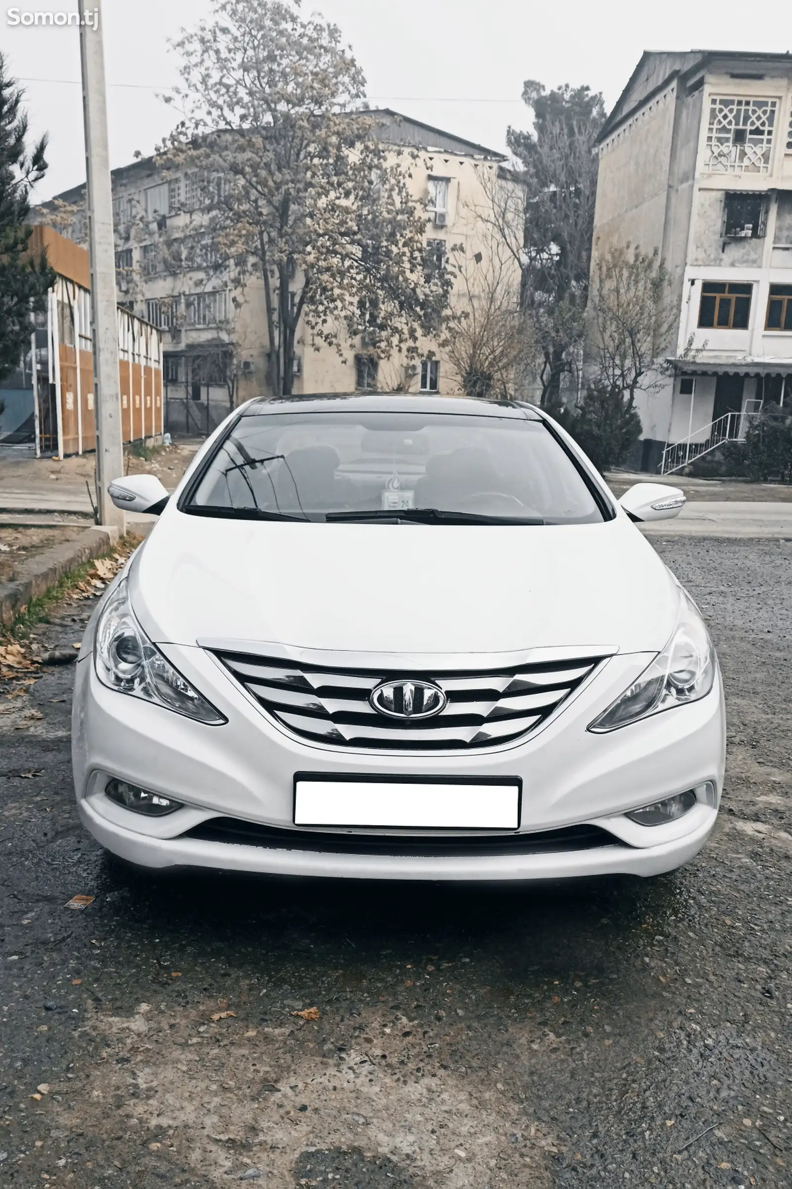 Hyundai Sonata, 2010-1