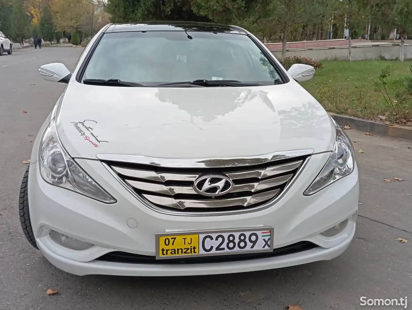 Hyundai Sonata, 2010-1