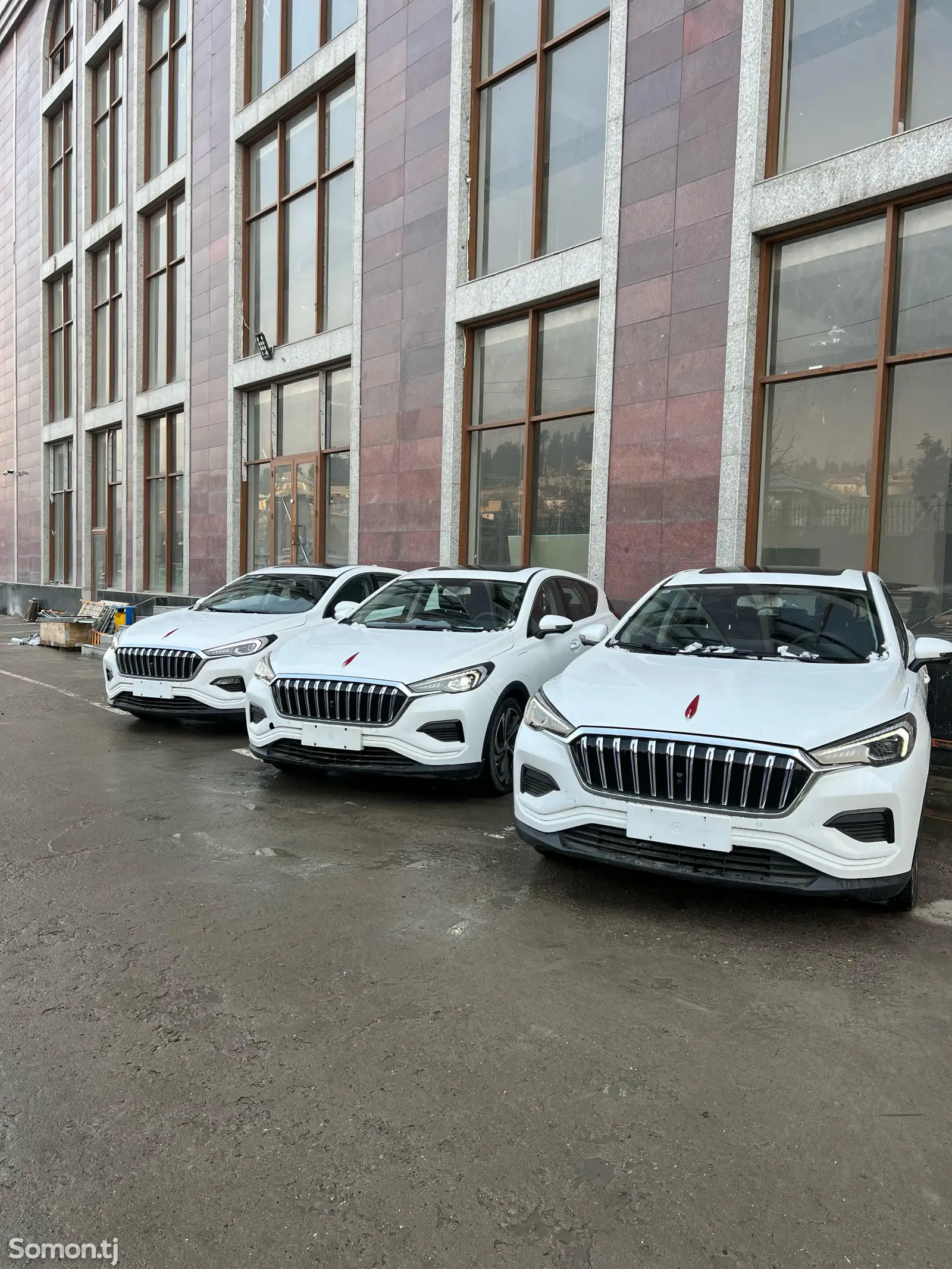 Hongqi E-HS3, 2019-1