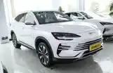 BYD Song Plus, 2025-4