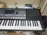 Синтезатор Korg pa 600-3