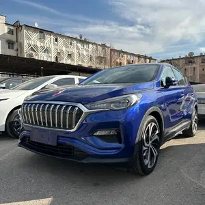 Hongqi E-HS3, 2019