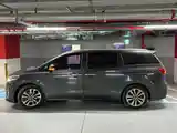 Kia Carnival, 2015-5