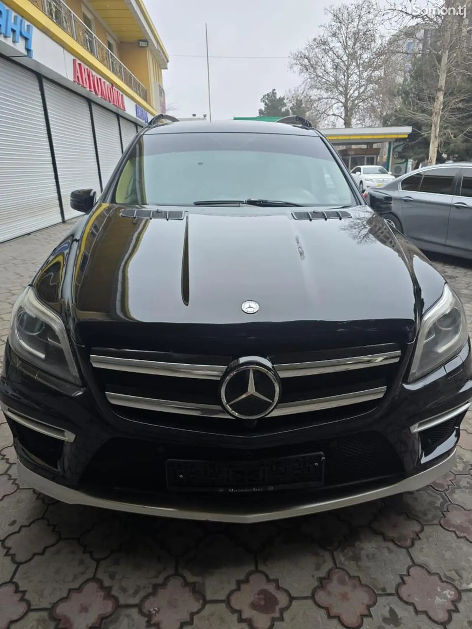 Mercedes-Benz GL class, 2008-1