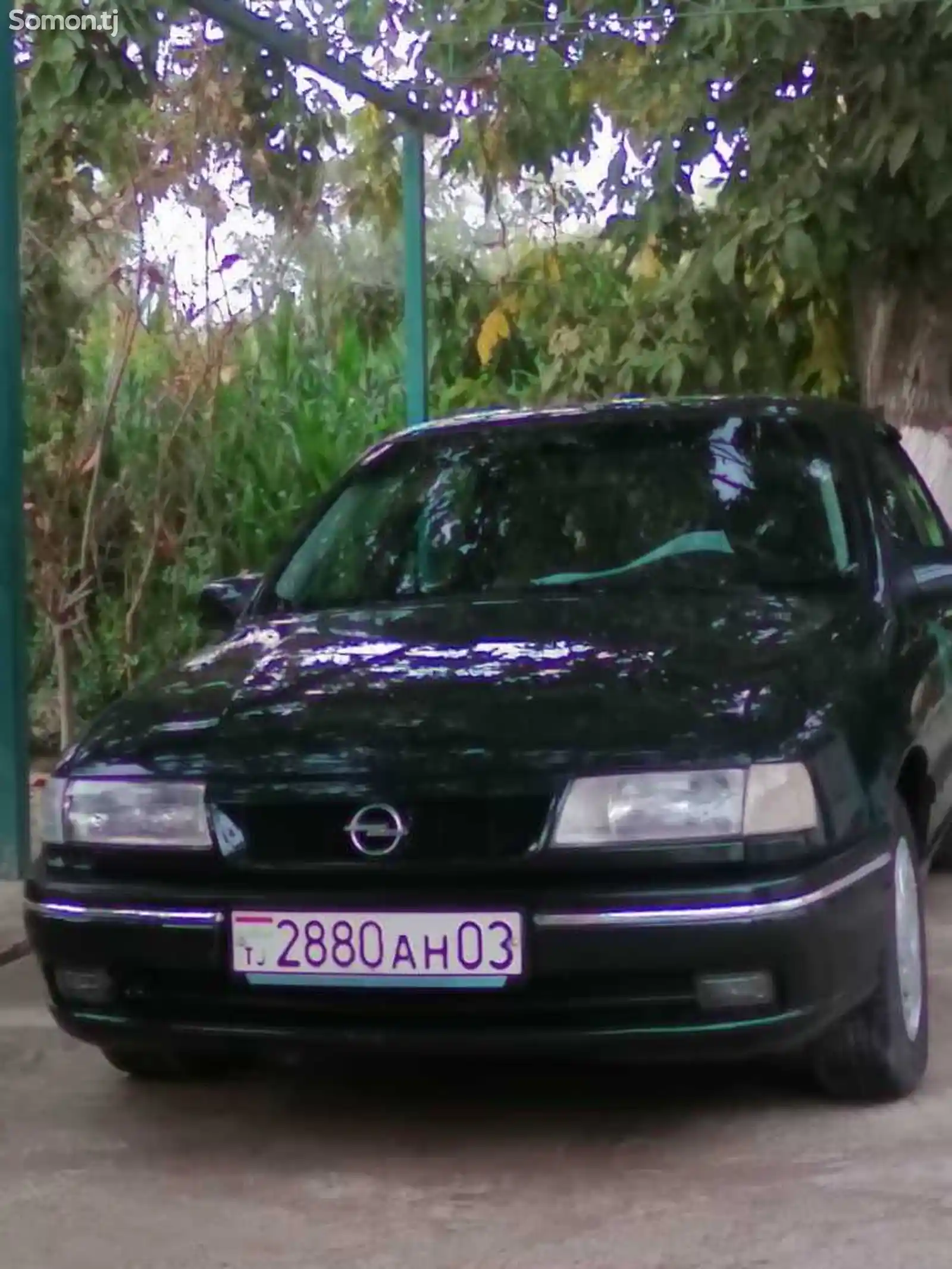 Opel Vectra A, 1995-1