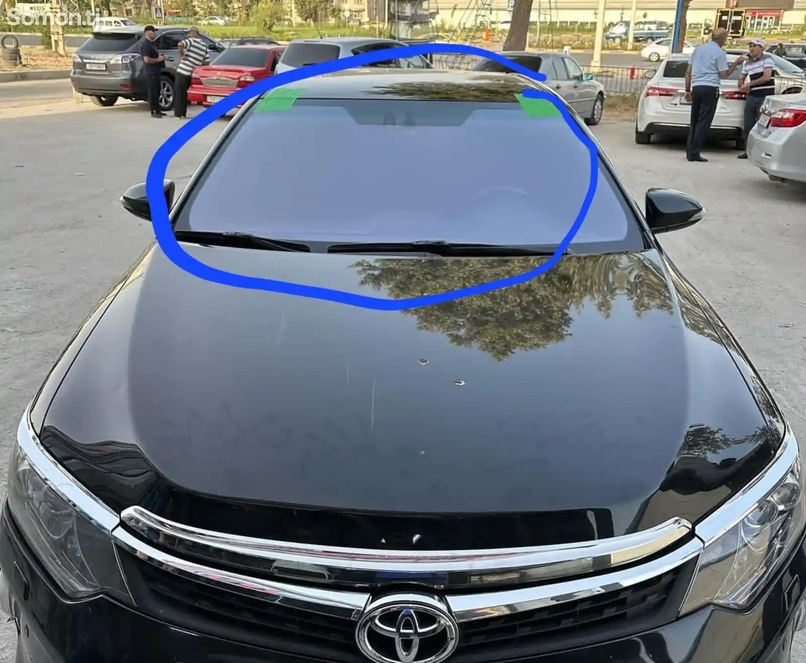 Лобовое стекло фиолетовый на Toyota Camry 5