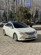 Hyundai Sonata, 2010-3