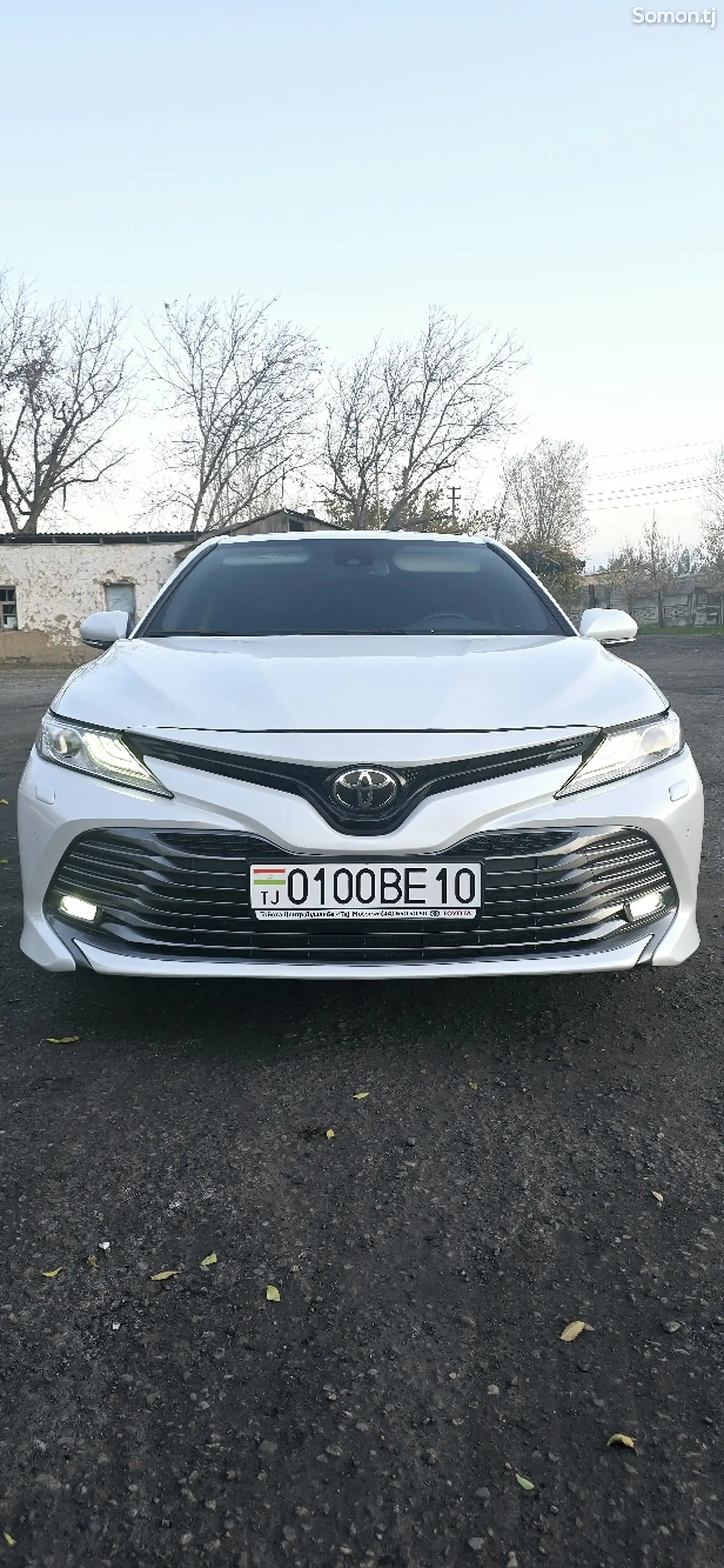 Toyota Camry, 2019-1