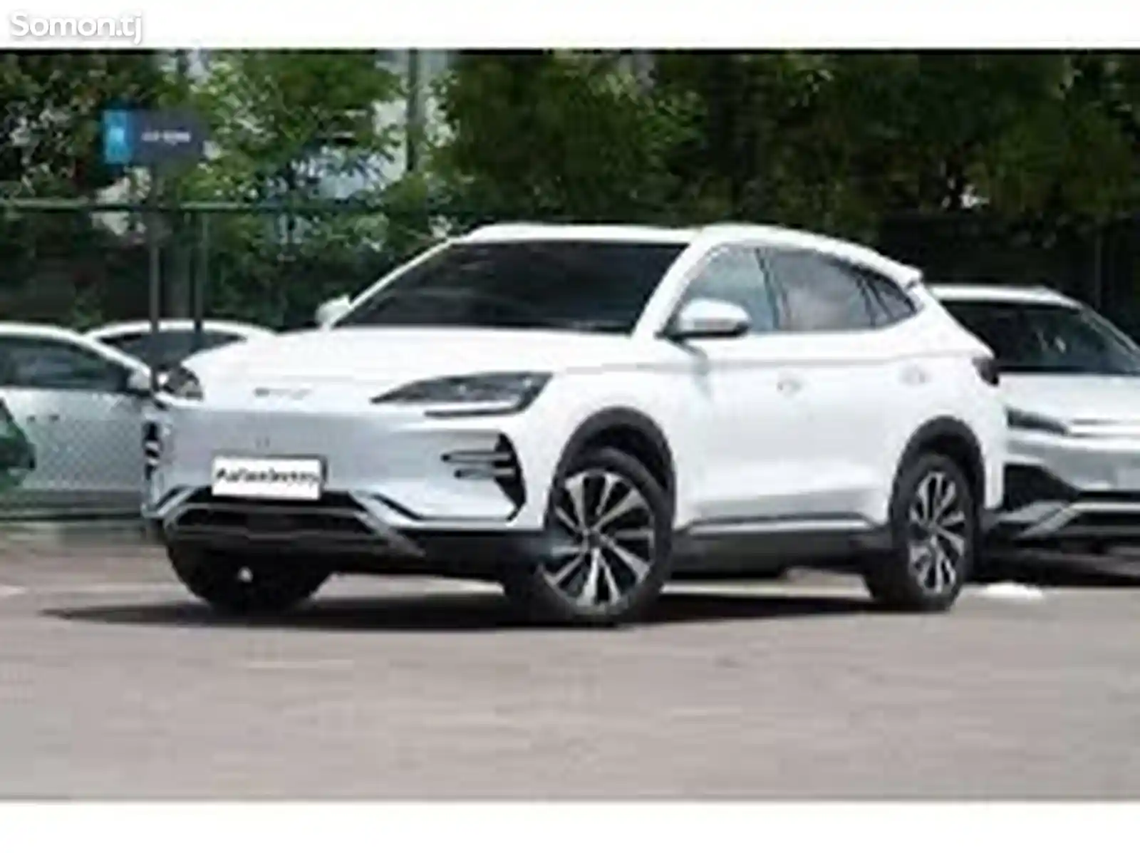 BYD Song Plus Flagship, 2024 на заказ-1