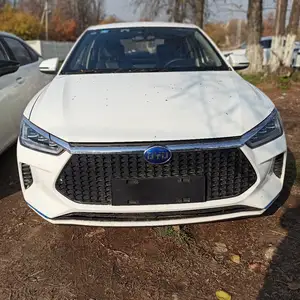 BYD E2, 2020