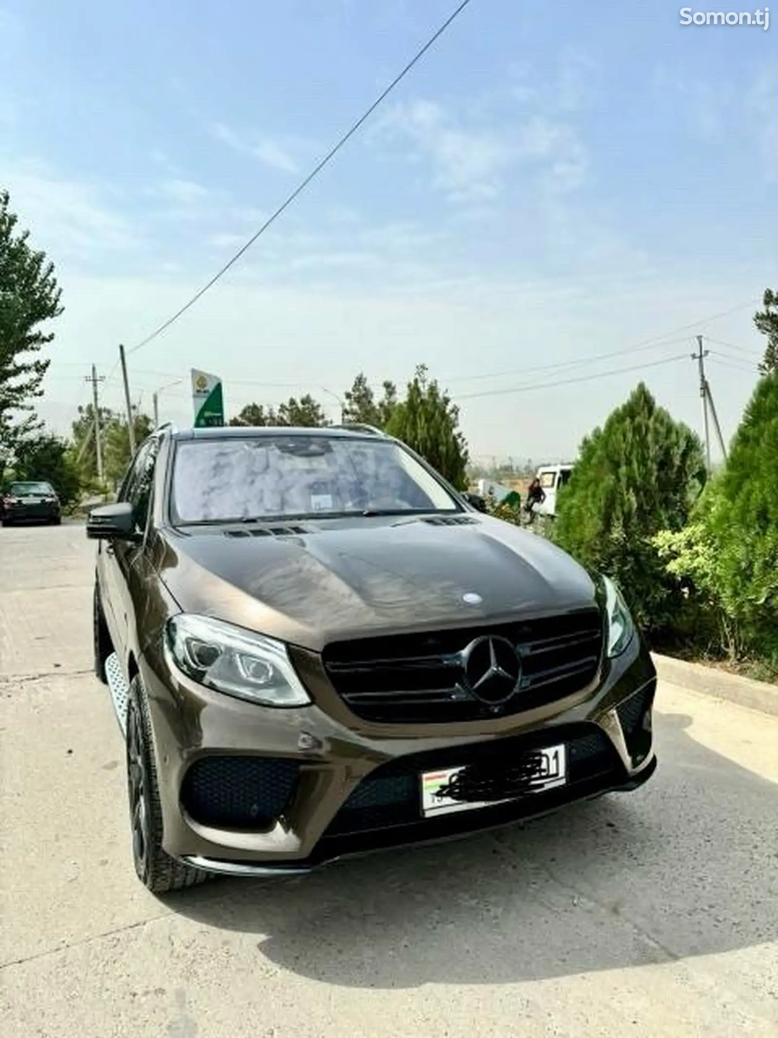 Mercedes-Benz GLE class, 2017-1