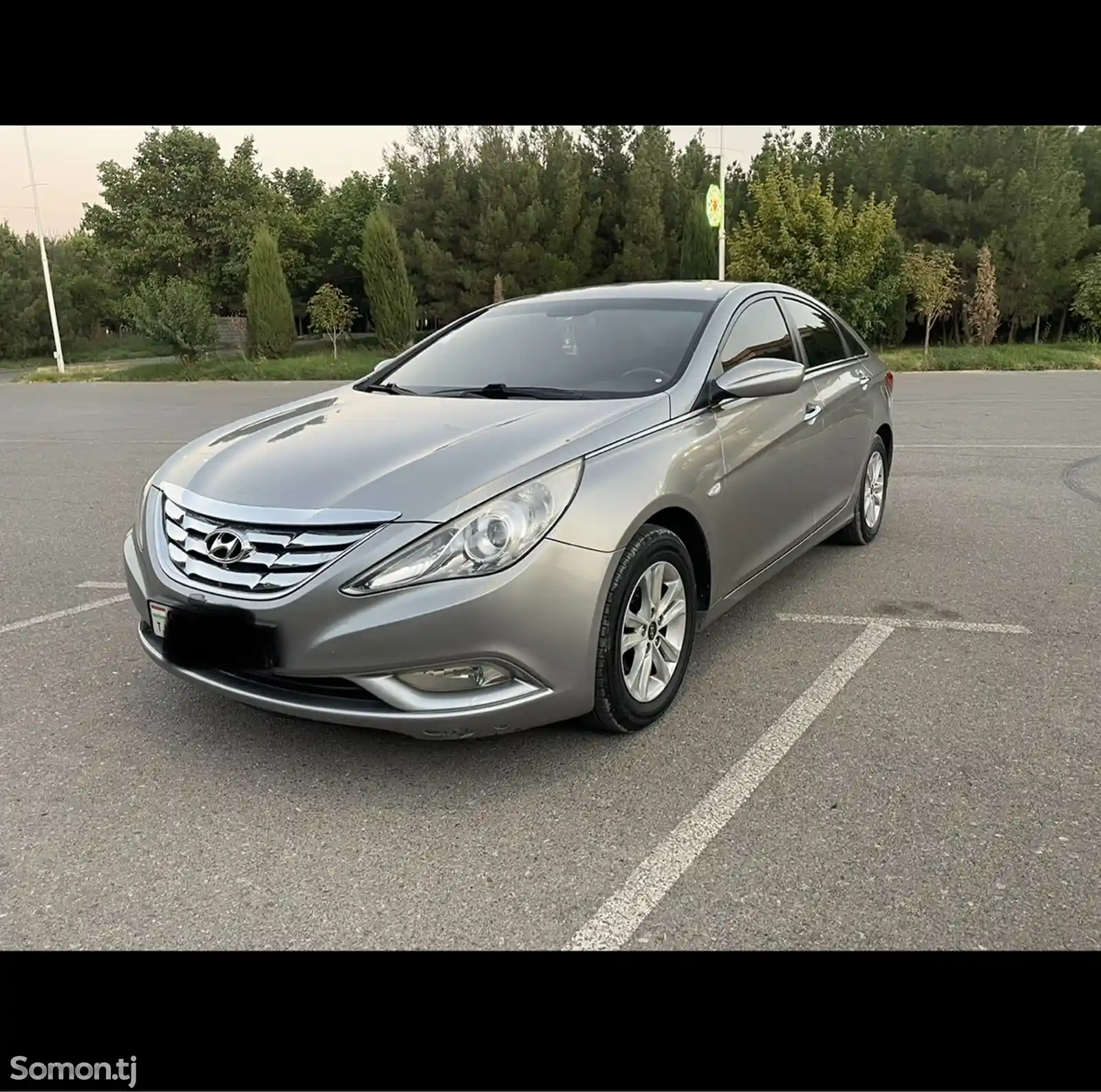 Hyundai Sonata, 2010-1