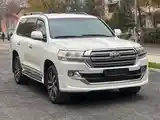 Toyota Land Cruiser, 2011-3