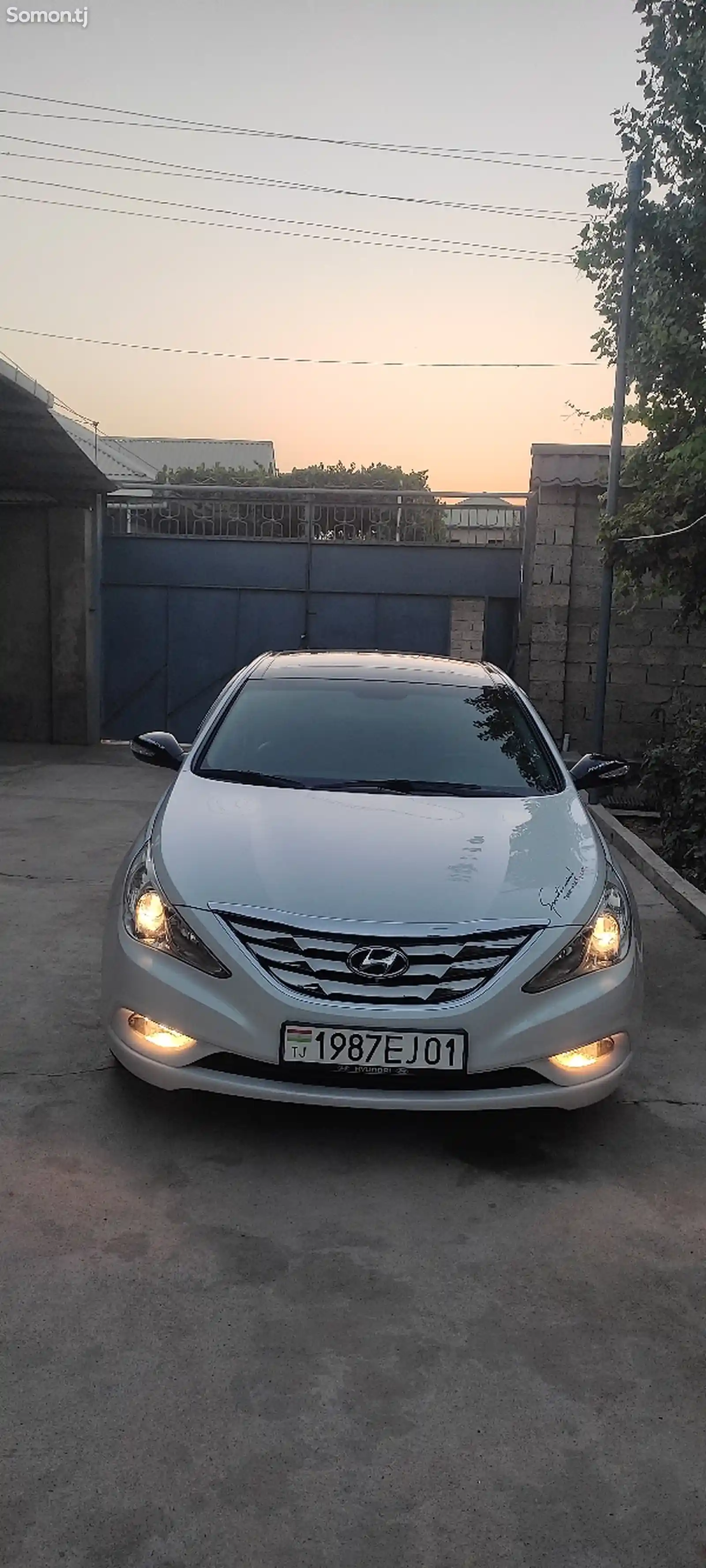 Hyundai Sonata, 2010-3