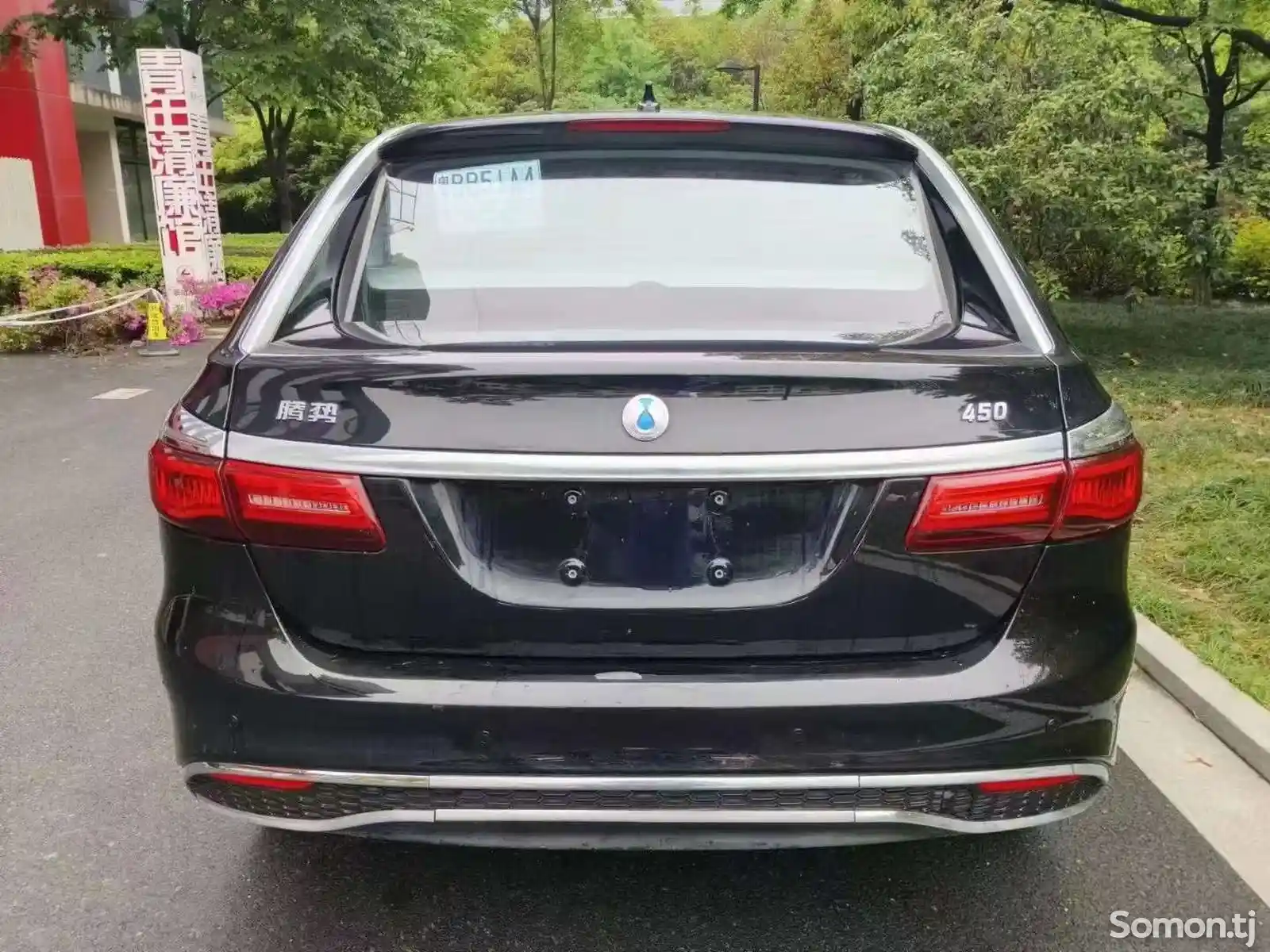 BYD TENGSHI 450, 2019-7