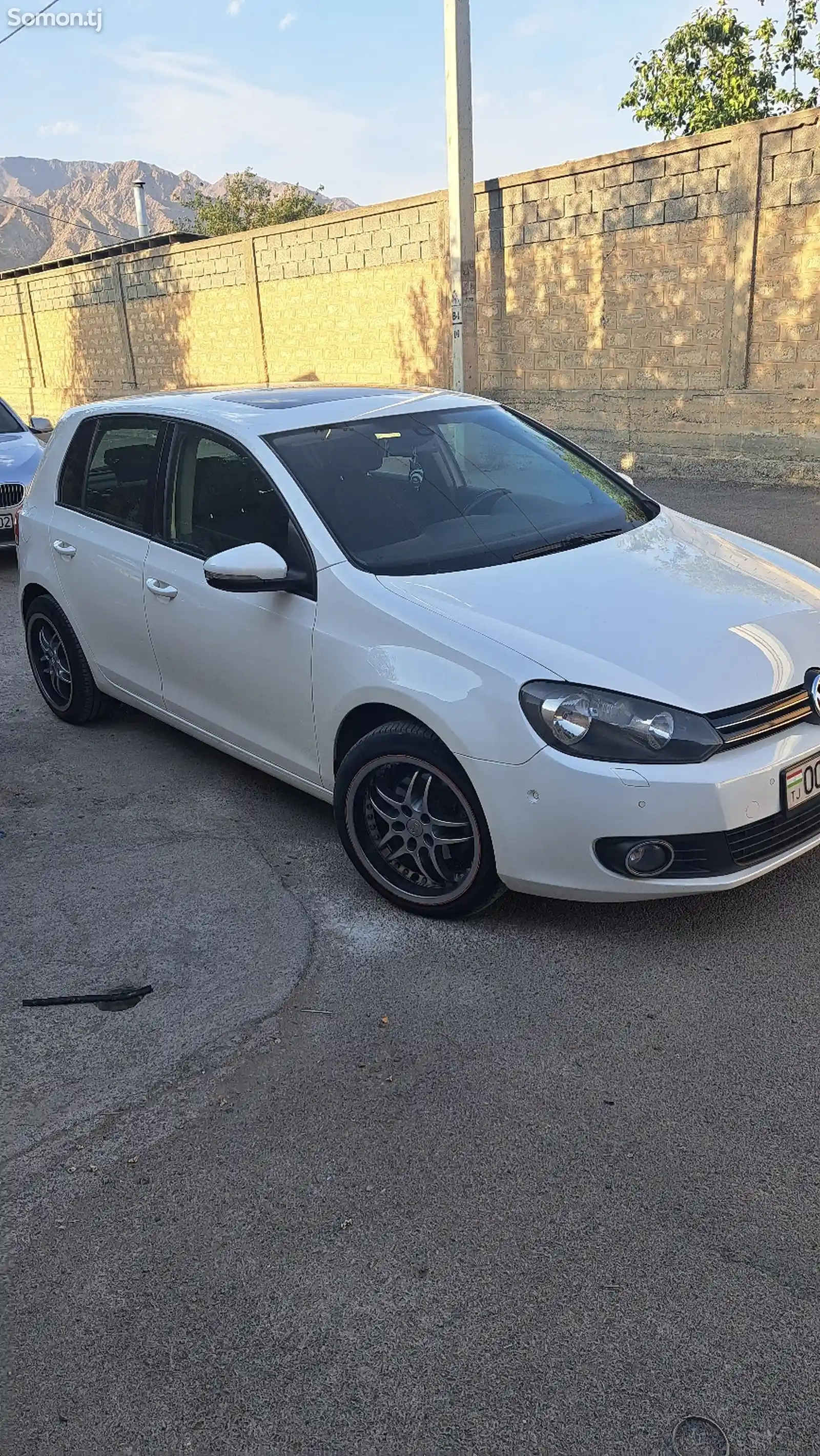 Volkswagen Golf, 2010-6