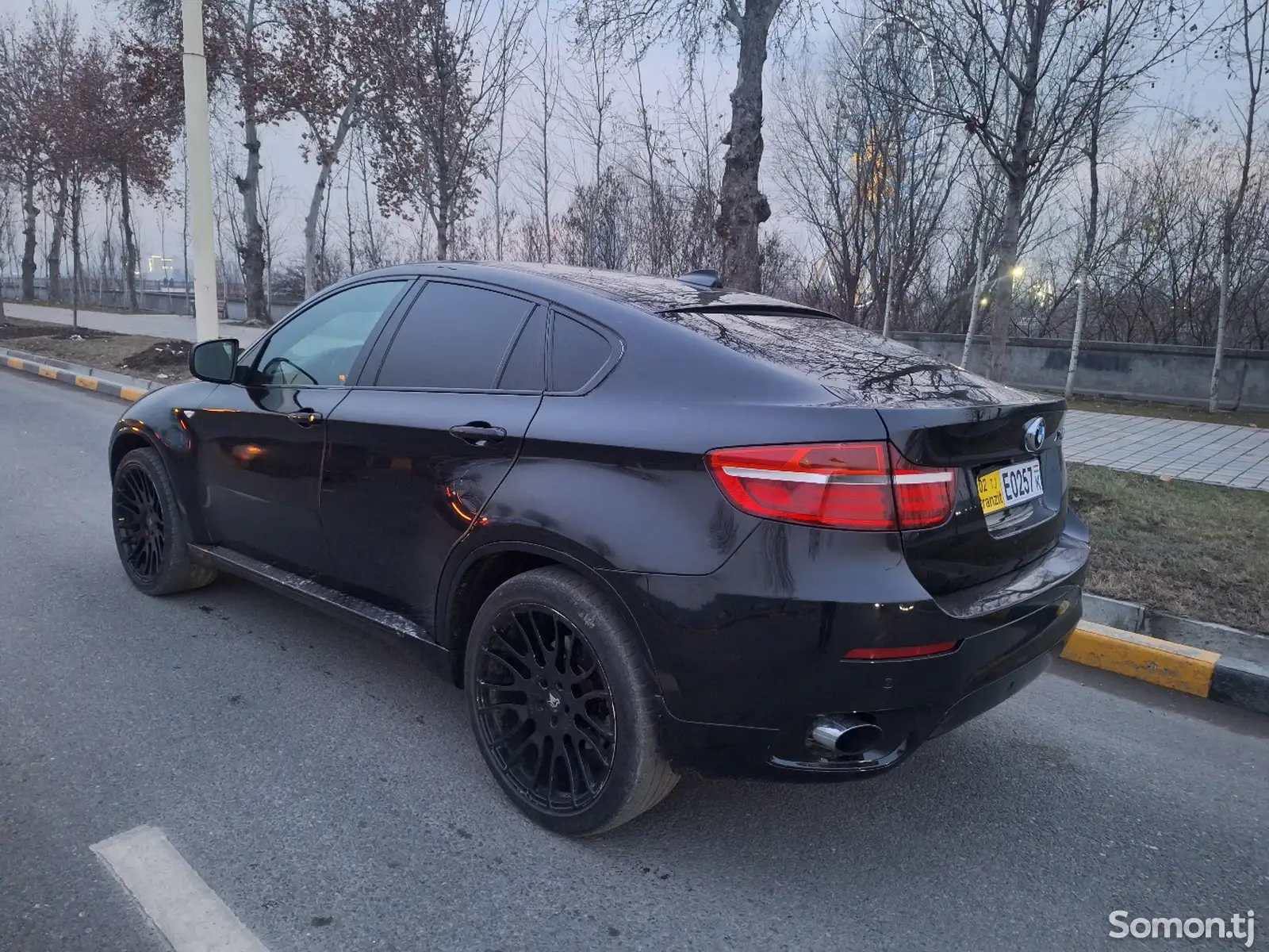 BMW X6, 2010-1