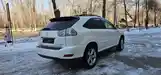 Lexus RX series, 2007-5