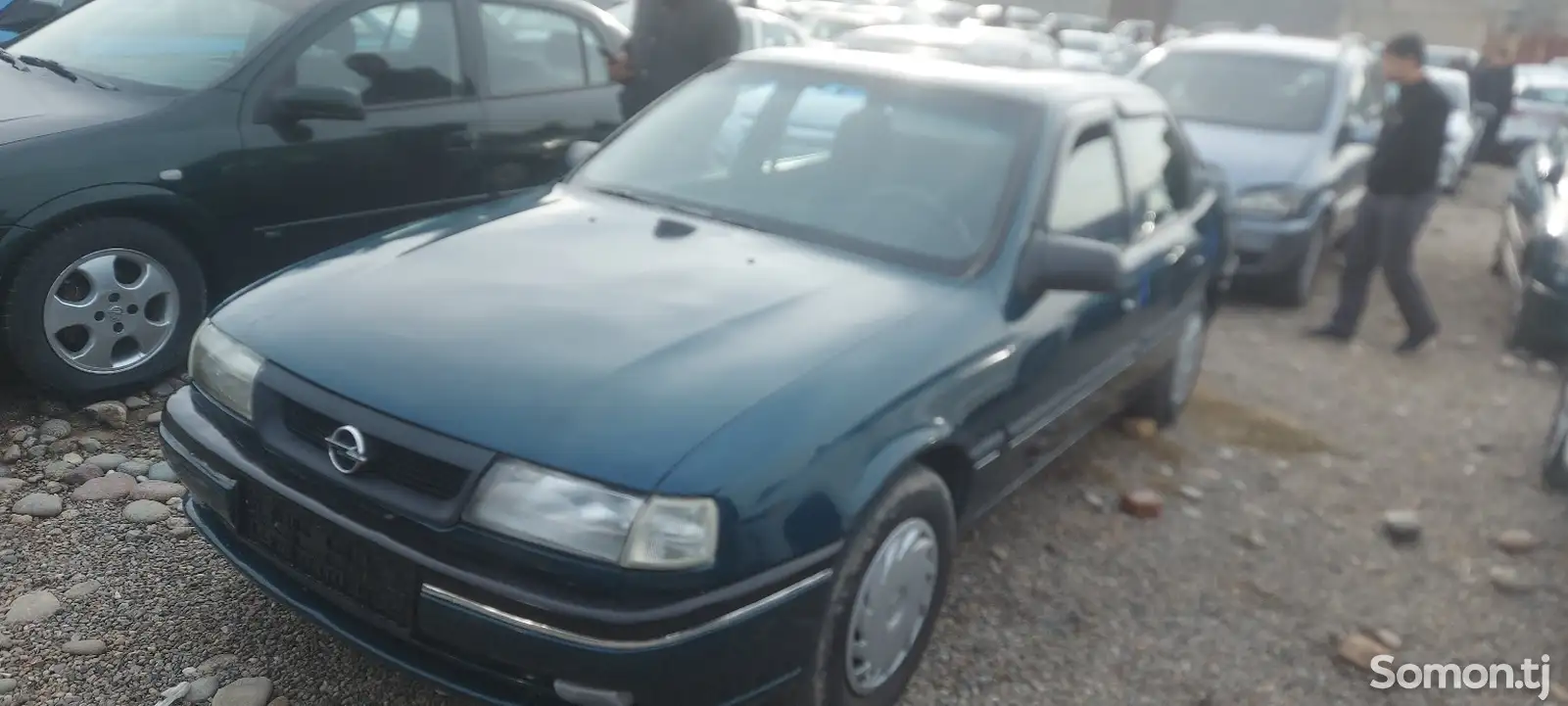 Opel Vectra A, 1994-1